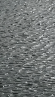 Calm rippling water surface